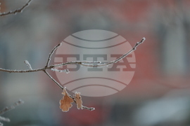 Ежедневие - студено време