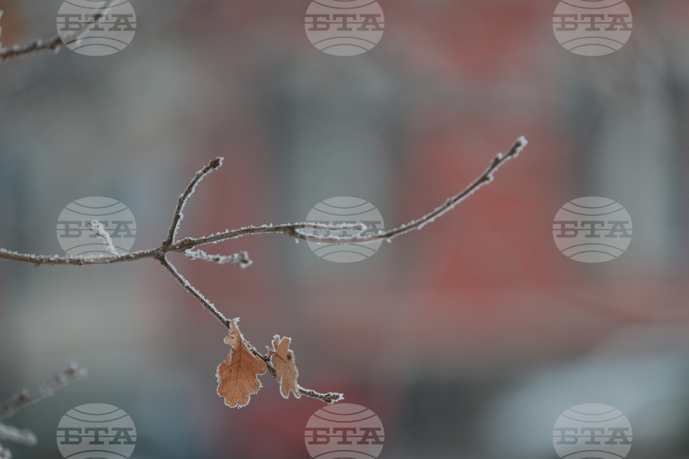 Ежедневие - студено време