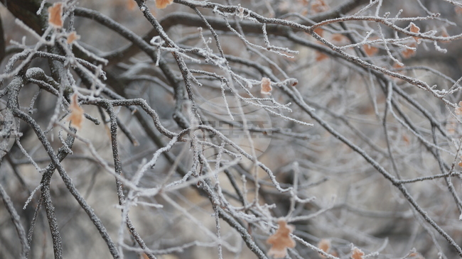 Жълт код за ниски температури е обявен за утре в 14 области в страната 