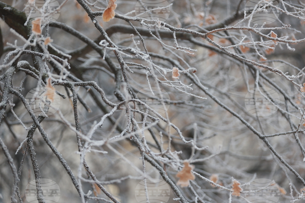 Ежедневие - студено време
