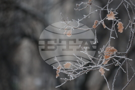 Ежедневие - студено време