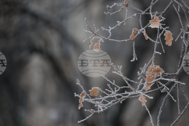 Прогноза за времето