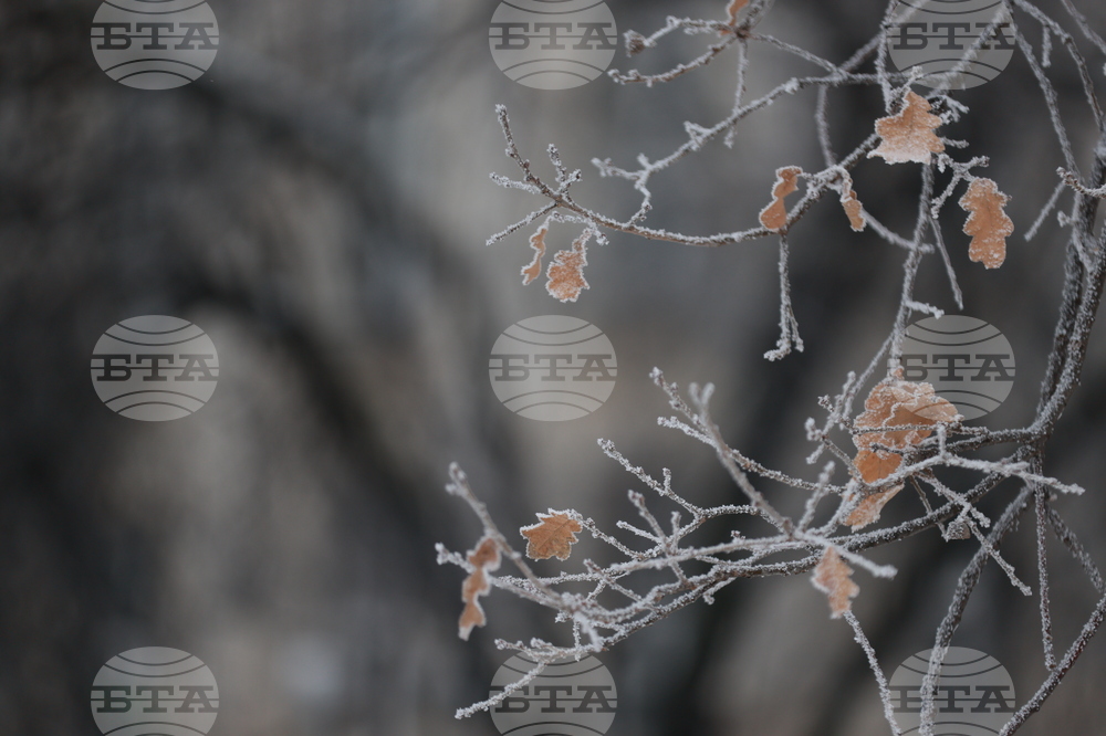 Ежедневие - студено време