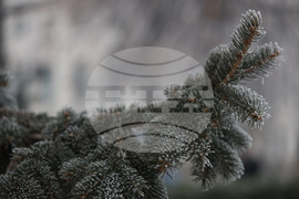 Ежедневие - студено време