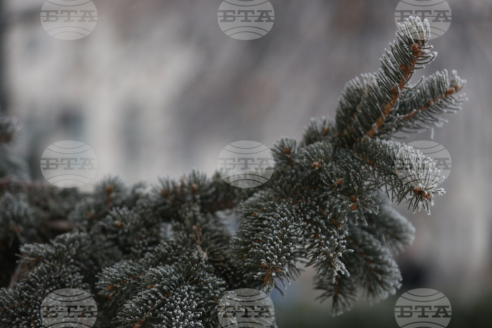 The Weather on February 20