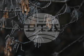 Ежедневие - студено време