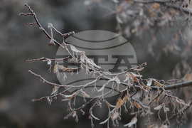 Ежедневие - студено време