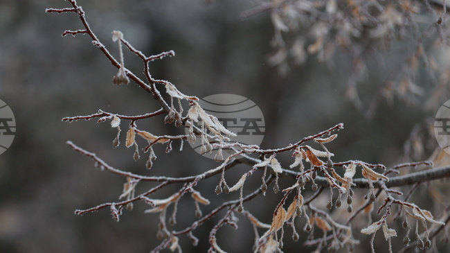 Прогноза за времето