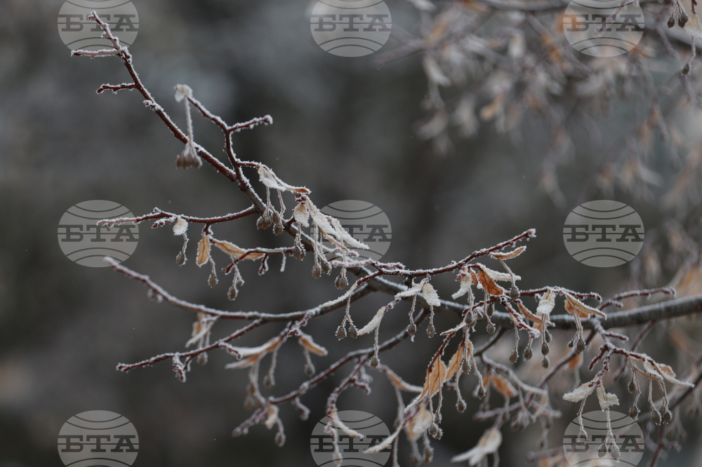 Ежедневие - студено време