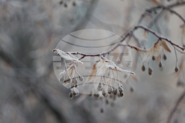 Ежедневие - студено време