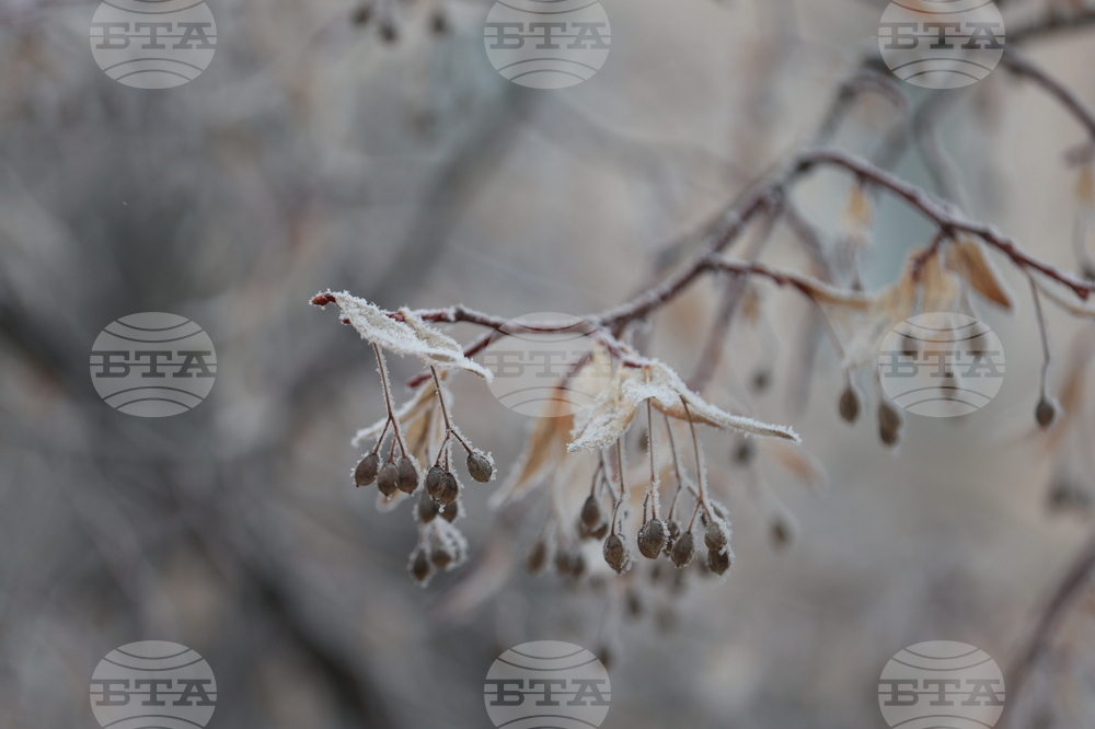 Ежедневие - студено време