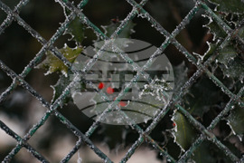 Ежедневие - студено време