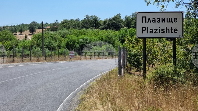 Мъж на 91 години е настанен в болница след нападение от кучета в село Плазище, стопанинът им е задържан