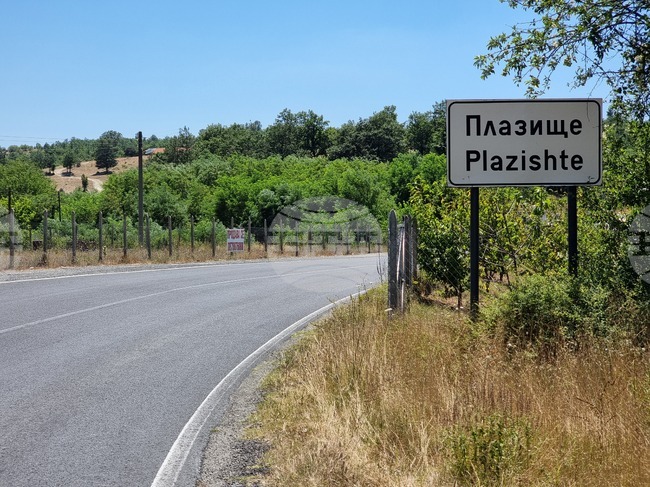 Мъж на 91 години е настанен в болница след нападение от кучета в село Плазище, стопанинът им е задържан