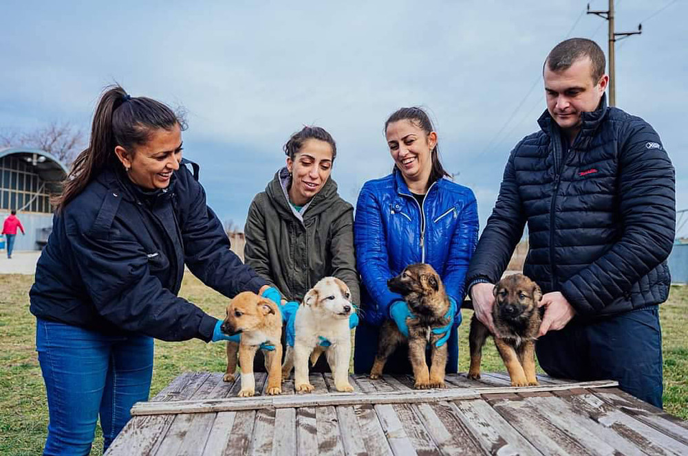 Община Варна: С всеки изминал ден Приютът за безстопанствени кучета в с. Каменар се радва на все повече благодетели, осиновители и приятели
