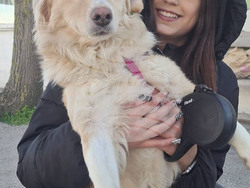 Снимка: Община Варна