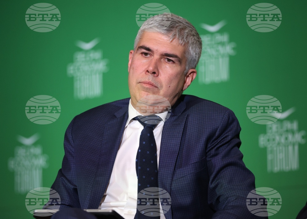 Софийски икономически форум - Владимир Малинов