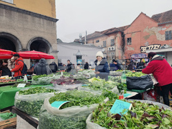 Хърватия - Загреб - пазар - Долац