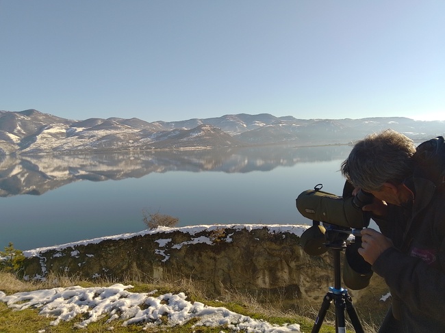 Повече от 4500 птици от 27 вида са регистрирани в Източните Родопи при тазгодишното среднозимно преброяване