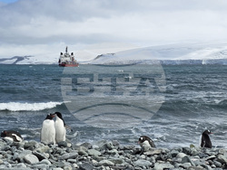 Antarctic - Livingston Island - cargo handling