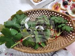 Видин - Ден на родилната помощ - отбелязване