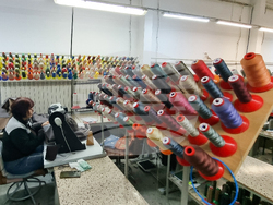 Ловеч - „Велга” - социално предприятие