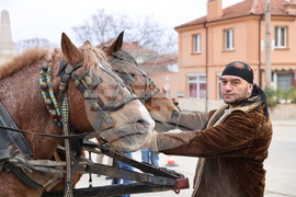 Село Брестник - Бабинден
