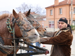 Село Брестник - Бабинден