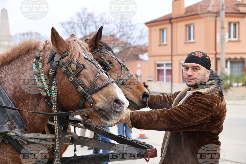 Село Брестник - Бабинден