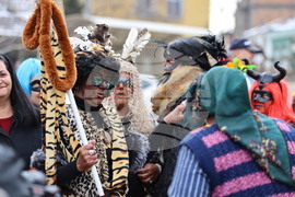 Село Брестник - Бабинден