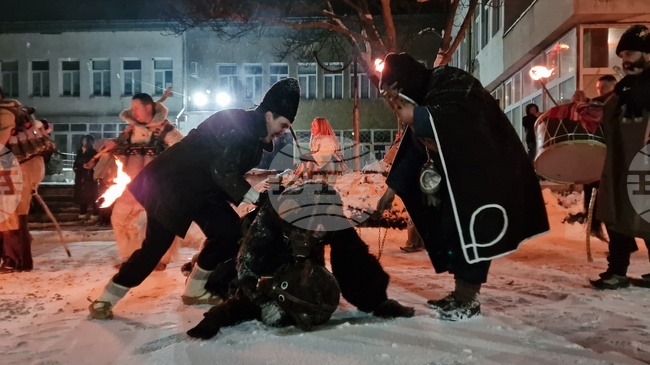 Над 12 хиляди участници от цяла България и двадесет и две групи от чужбина ще участват в Международния фестивал „Сурва“