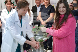 Кърджали - МБАЛ „Д-р Ат. Дафовски” - Бабинден