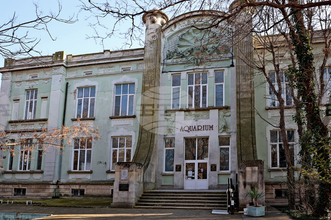 July 17, 1932: Bulgaria’s First Public Aquarium Opens in Varna