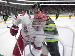Hurricanes Stars Hockey