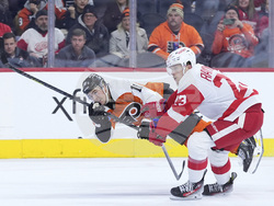 Red Wings Flyers Hockey