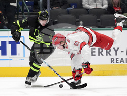 Hurricanes Stars Hockey