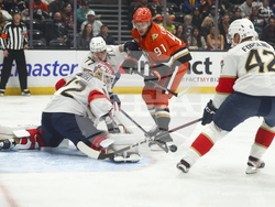 Panthers Ducks Hockey
