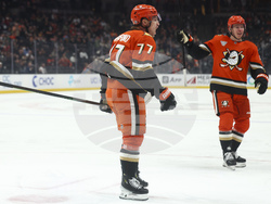 Panthers Ducks Hockey