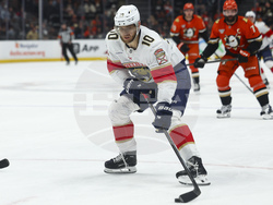 Panthers Ducks Hockey