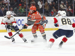 Panthers Ducks Hockey