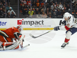 Panthers Ducks Hockey