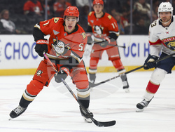 Panthers Ducks Hockey