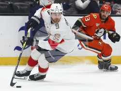 Panthers Ducks Hockey