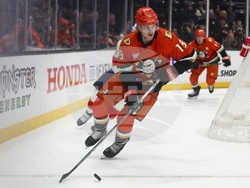 Panthers Ducks Hockey