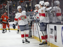 Panthers Ducks Hockey