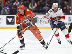 Panthers Ducks Hockey