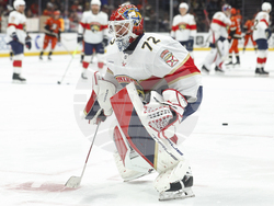 Panthers Ducks Hockey