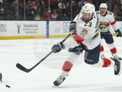 Panthers Ducks Hockey