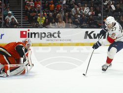 Panthers Ducks Hockey
