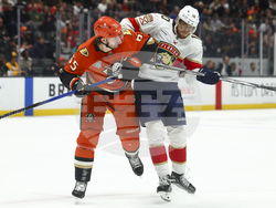 Panthers Ducks Hockey